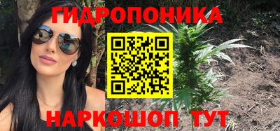 дурь Сланцы