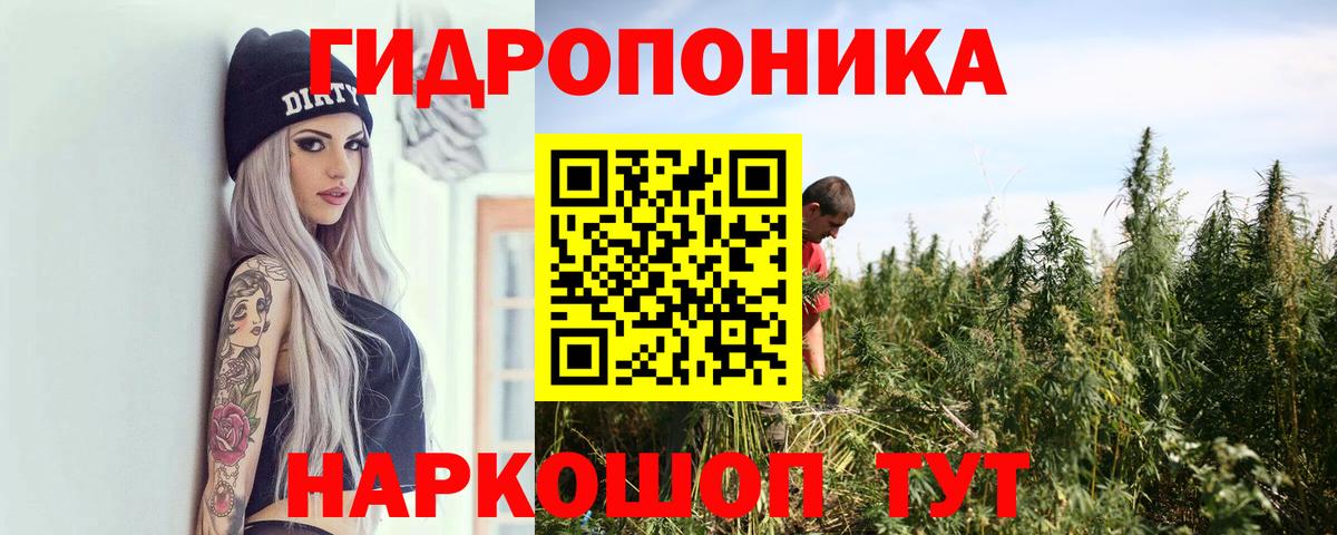 Бошки марихуана AK-47  Канабис марихуана  Саянск  Вход с VPN  Бошки марихуана OG Kush  Каннабис план 
